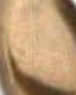 Antik